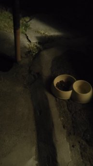 Пошли третьи сутки, как нет Ганса...
