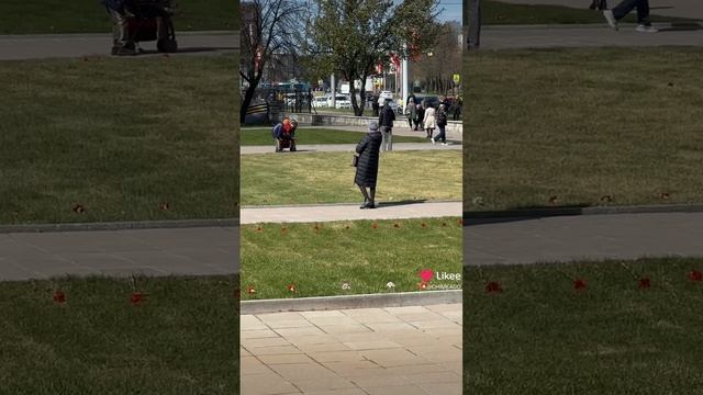 День Победы Питер
