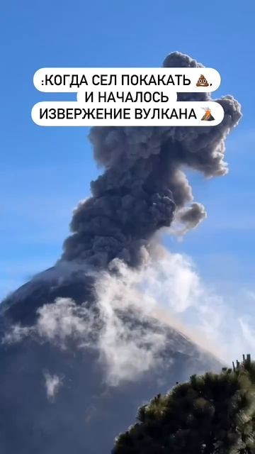 когда сел покакать