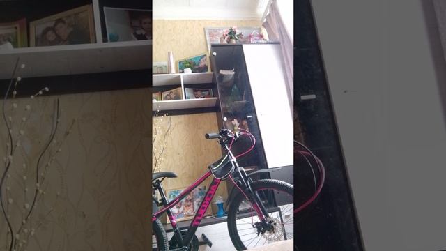 1000012565.mp4