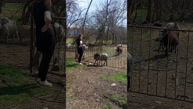 Откровенные разговоры о важном
