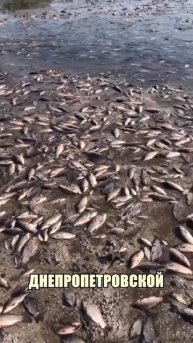 ПОДПИШИСЬ ЧТОБЫ БЫТЬ ВСЕГДА В КУРСЕ СИТУАЦИЙ НА НАШЕЙ