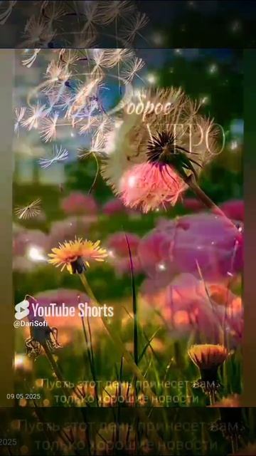 VID_20250509184828
