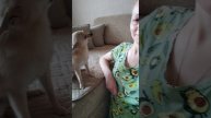 Дай, поцелую! Ми-ми-ми видео 🤗