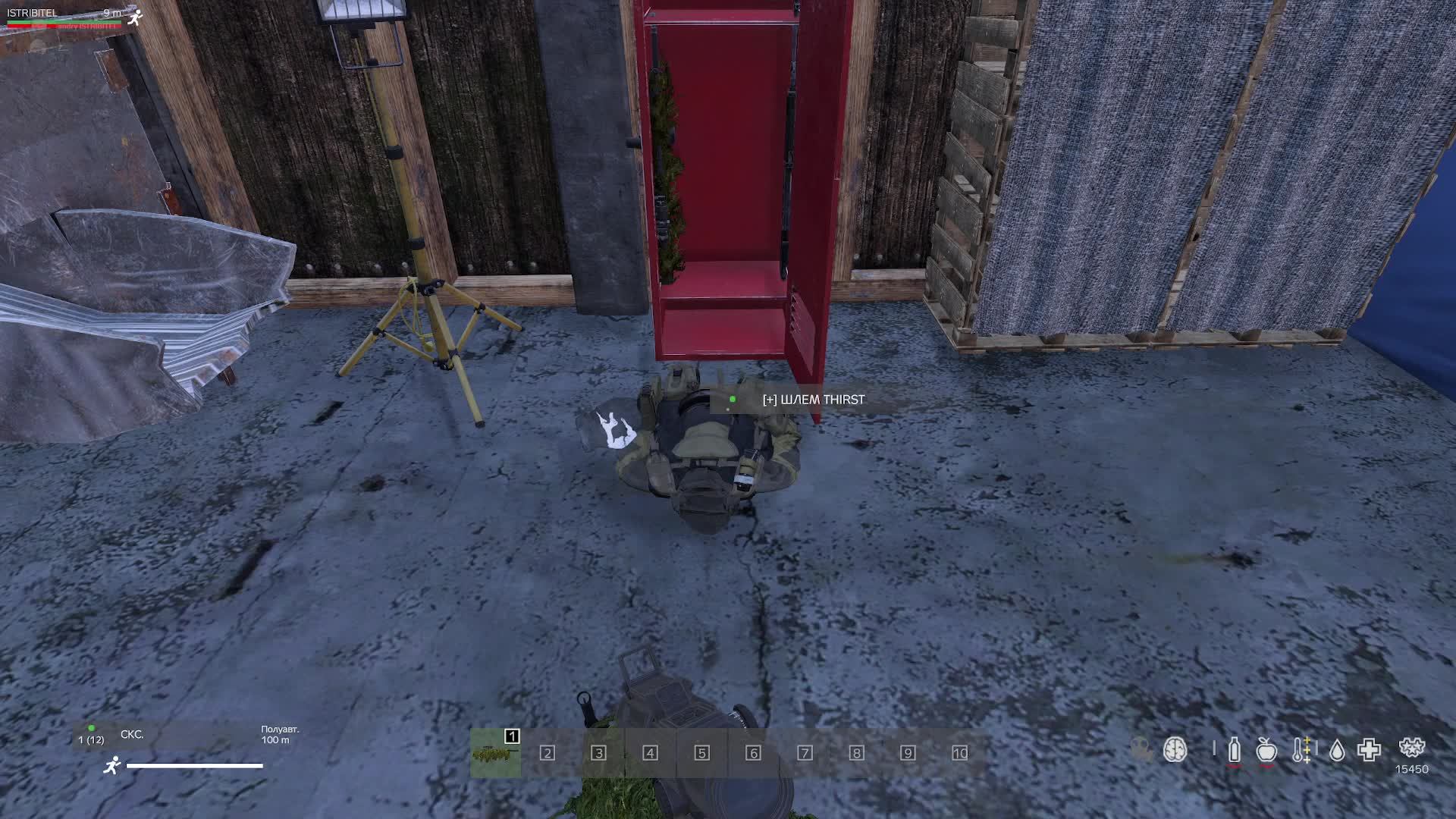 Dayz