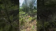 Участок