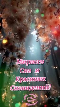 Спокойной ночи. ВидеоОткрытки на Каждый день.