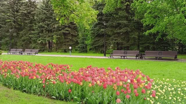 День Победы. Москва, ВДНХ