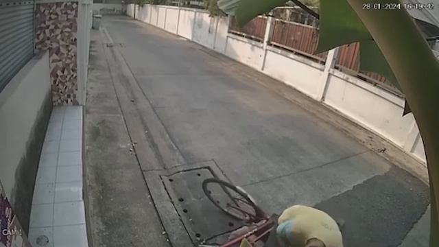 95_НЕВЕРОЯТНЫХ_МОМЕНТОВ,_СНЯТЫХ_НА_КАМЕРЫ_НАБЛЮДЕНИЯ