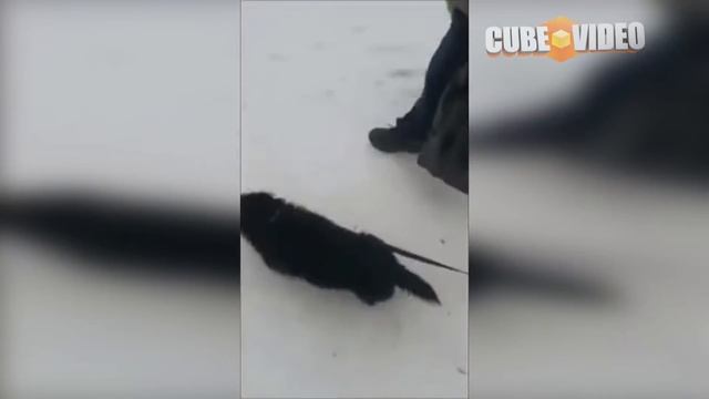 10 МИНУТ ОТБОРНЫХ ПРИКОЛОВ | ЛУЧШИЕ ПРИКОЛЫ ЯНВАРЬ 2019 ржака до слез угар прикол.BEST CUBE # 47
