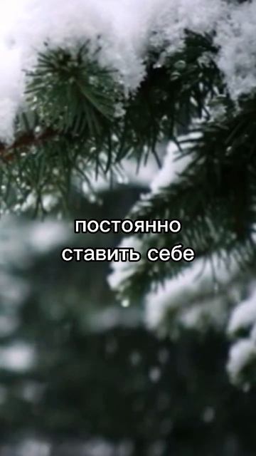 #мотивация #мотивациянауспех #мотиваторы #цитата #цита