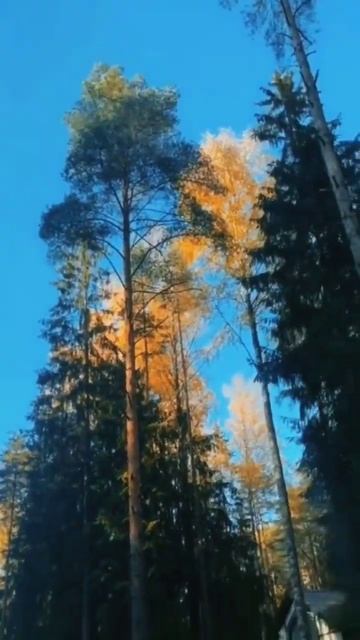 Люди не увидят.                              #шортс #цитаты #мотивац?