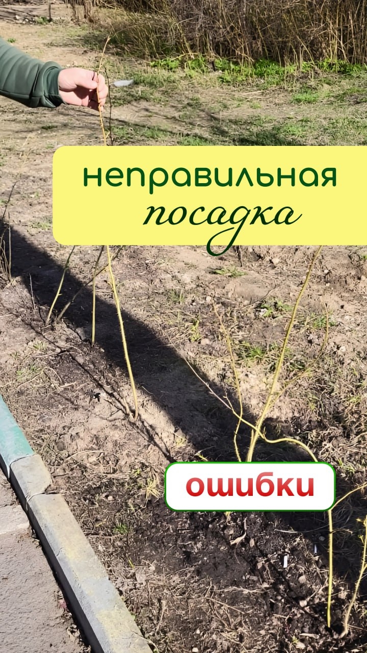НЕПРАВИЛЬНАЯ посадка