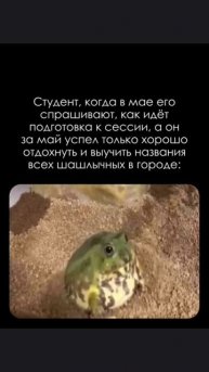 студент когда в мае