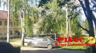 В Уфе лось чуть не пробил головой окно квартиры на первом этаже: жители пришли в шок