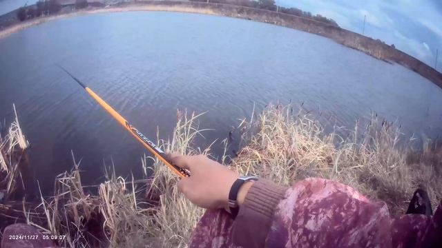 Вечерний клев пару часов. Половил немножко карасика на поплавок🎣 Насадка тесто🎣
