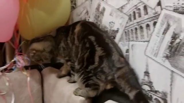1000066139.mp4
