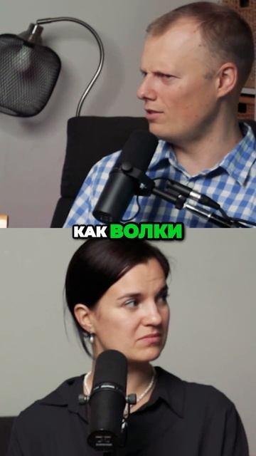 Суть учения Христа  Быть послушными как овечки #вера #р