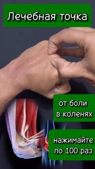 Точка от боли в коленях