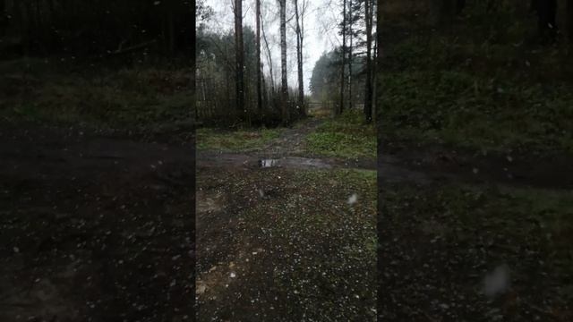 8 мая. Снегом погода решила  опять попугать. Не успели испугаться.