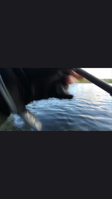 Боковой кивок с killer fish