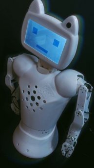 Робот Chatty делится секретами компании CRAZYBOTS