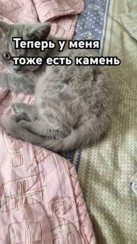 у меня теперь есть камень #камень #корея #shorts #тренд
