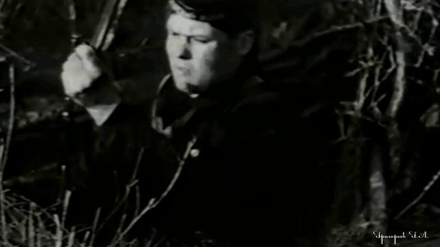 Нас не нужно жалеть... Михай Волонтир
С Праздником Великой Победы!!!