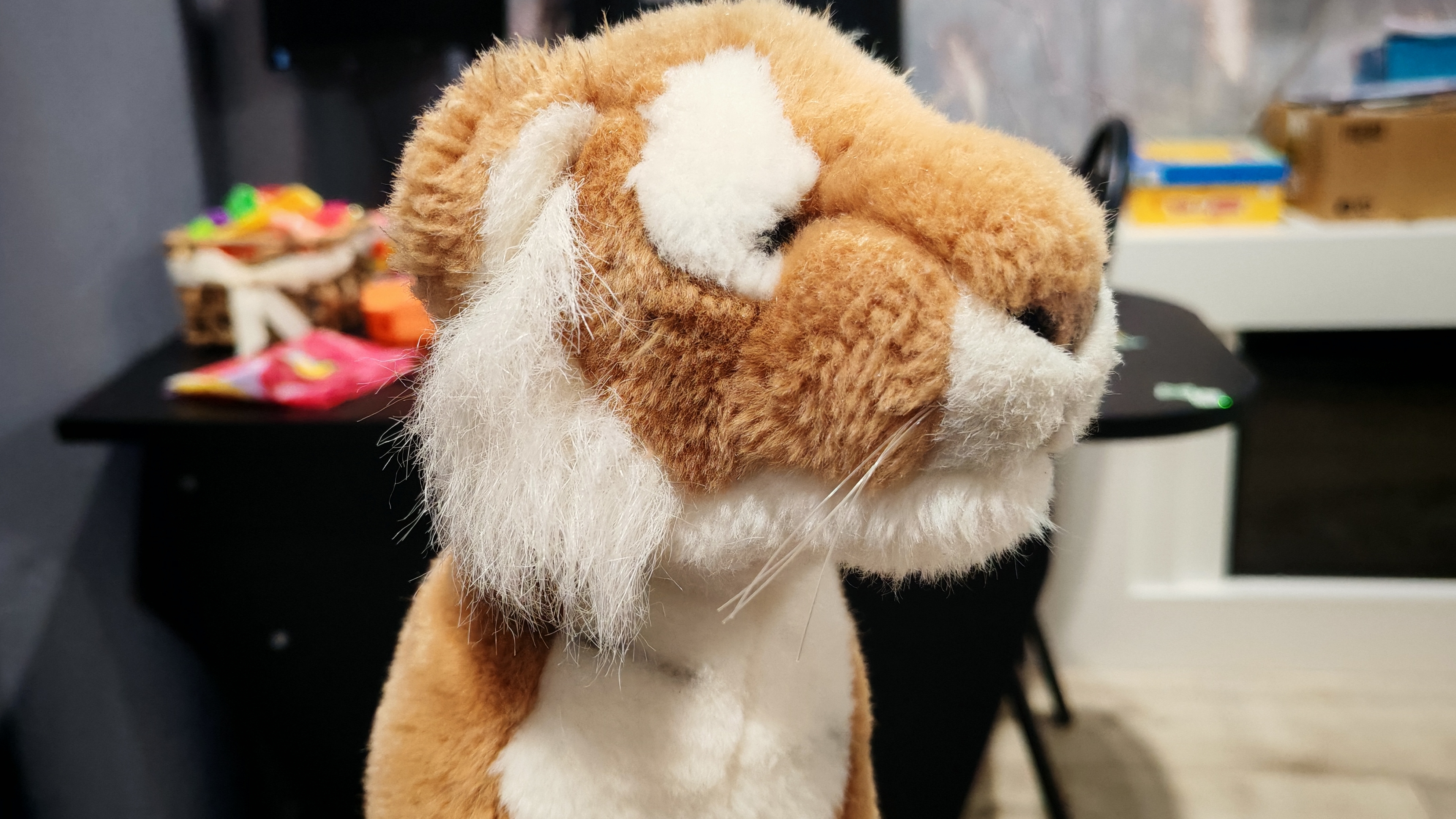 играем в плюшевого тигренкаи смотрим в окно деревня ночью