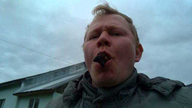 Дмитрий Гаврилкин - Кто Не Работает, Тот Ест, Учись Студент - 2025
