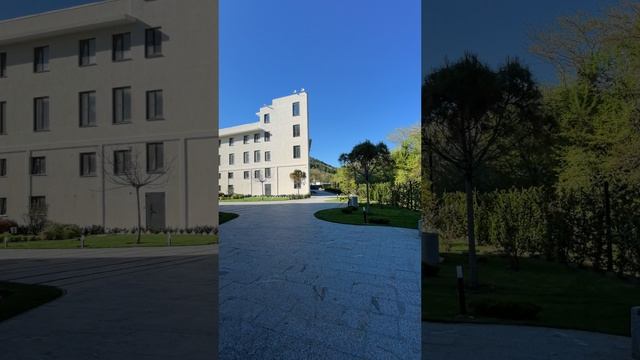 Райморис - чудо в Бетте