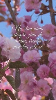 🔴 Vă doresc o zi minunată cu ganduri bune și Weekend plăcut. 🥰🥰#zifrumoasa