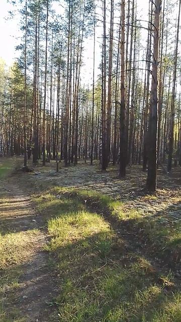 9 мая 2025 год.