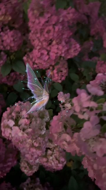 Магические гортензии | Hydrangeas
