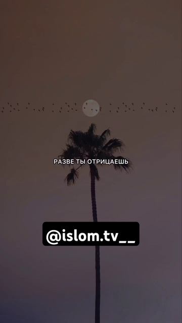 Почему ты не молишься?Аллах говорит в Коране:Совершай?