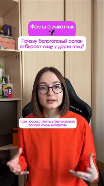 Рыбов есть? А если найду? Подписывайся на необычные фа?
