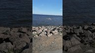 Погода в Санкт-Петербурге Красносельский район 9 мая 2025
Жемчужный пляж