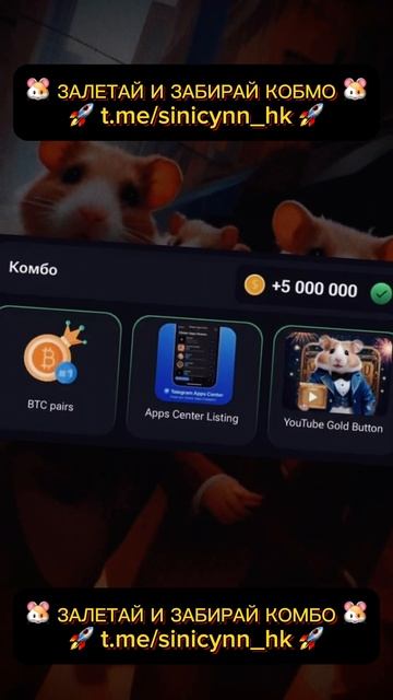 КОМБО НА СЕГОДНЯ 🐹 12 ИЮНЯ / 12.06 💰 HAMSTER KOMBAT #хамстер #комбат #комбинация