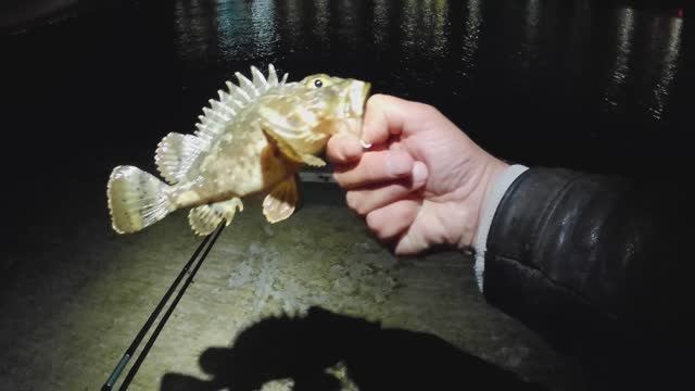 Морская рыбалка ночью