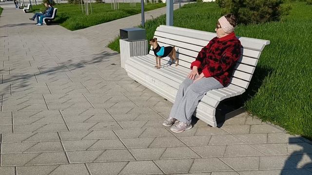 Анапа .
Крещенский парк.
06.05.2025.