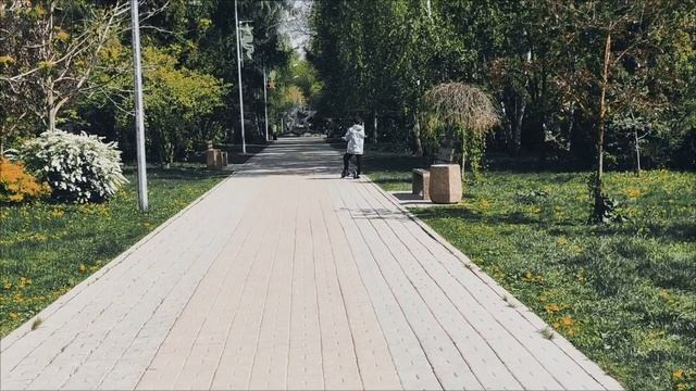 Прогулка в городе .