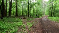 Велопрогулка в дождь по лесу