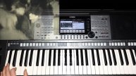 Каролина Зимний вечер Yamaha PSR-S770⁄PSR-S970 Style Disco2