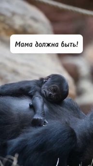 Должна быть! #дети #мама #материнство #родители #здоров?