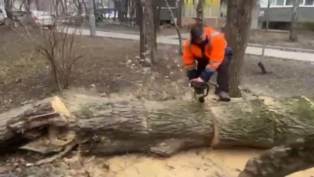 Непогода в Москве