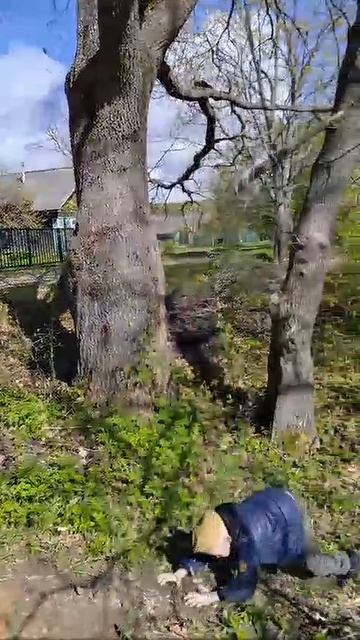 кто дольше продержится на торзанке челлендж?
