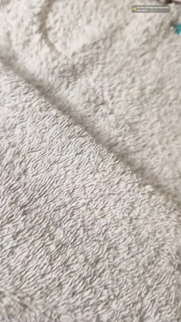 1000006220.mp4 https://vk.com/blikfimm