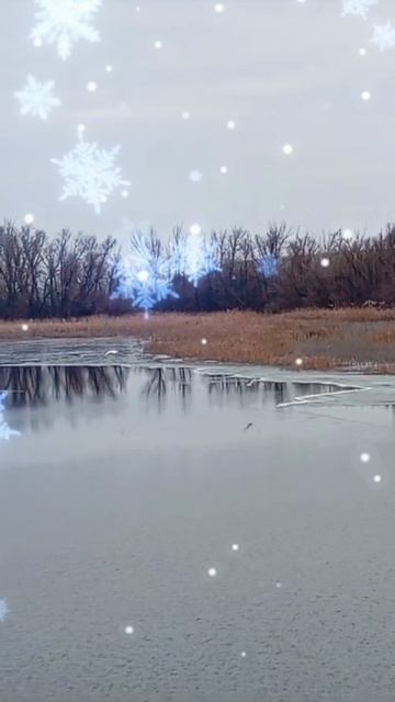1000006121.mp4