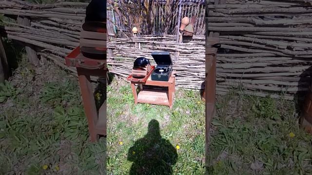 Тёмная Ночь