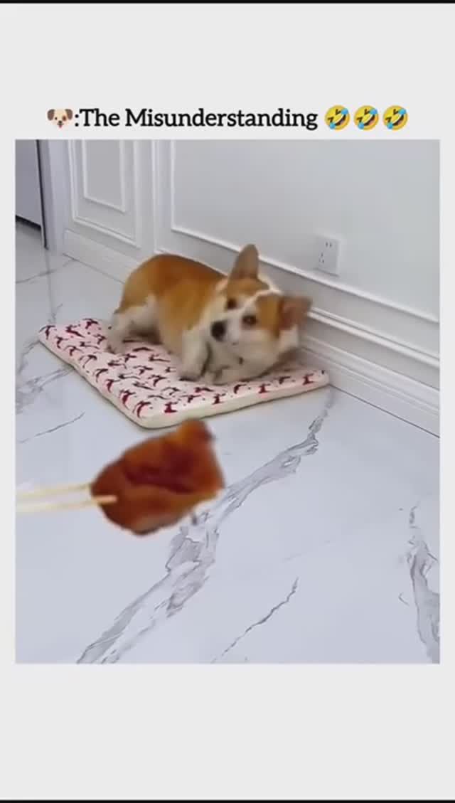 вот жеж ты гад